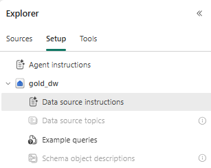 The data agent Explorer on the Setup tab: Agent instructions at the top, then the gold_dw data source with Data source instructions, Data source topics, Example queries and Schema object descriptions. Topics and schema object descriptions are greyed out because they need the preview runtime.